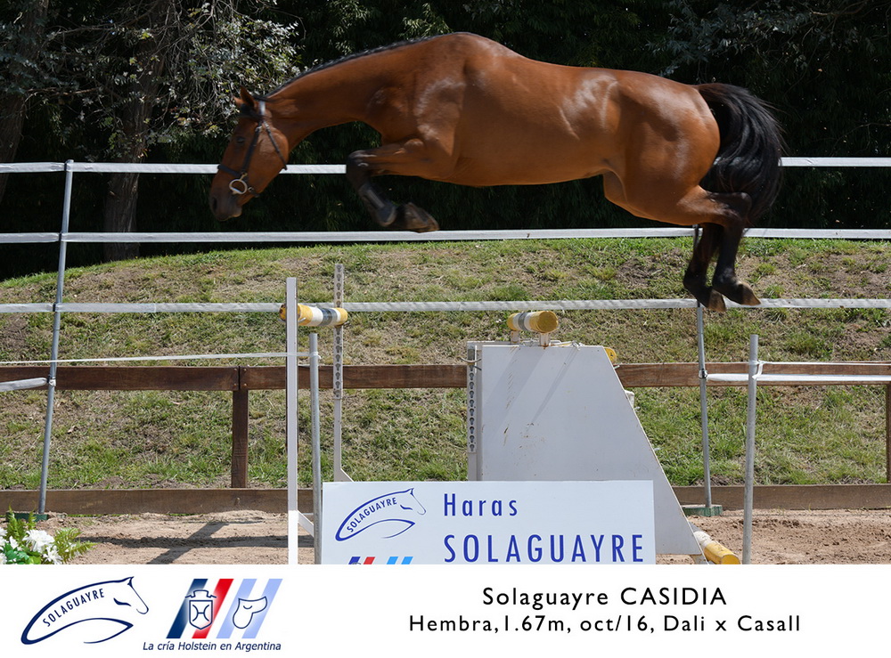 SOLAGUAYRE CASIDIA